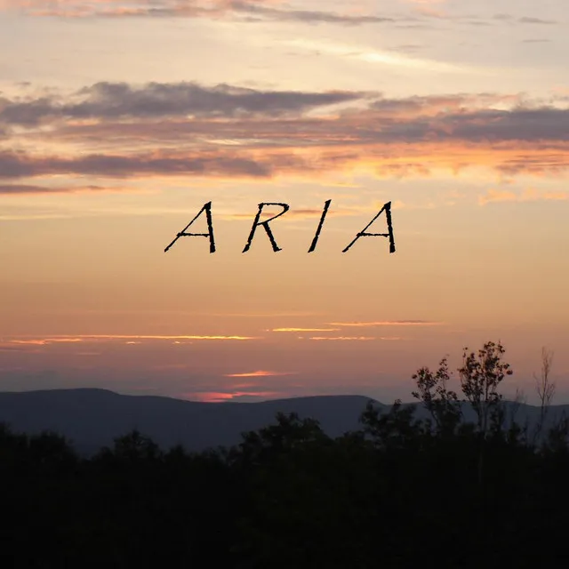 Aria for Unaccompanied Bass Guitar