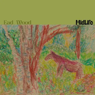 Midlife by Ead Wood