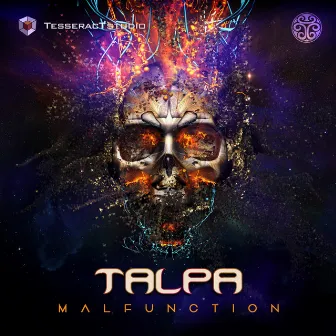 Malfunction by Talpa