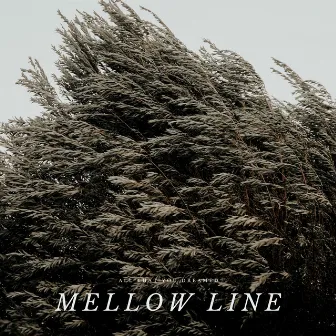 The wrong companions by Mellow Line