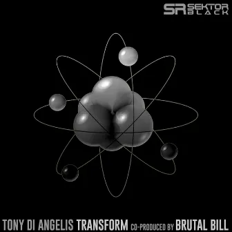 Transform by Tony Di Angelis