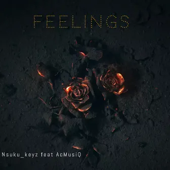 Feelings by Nsuku_keyz