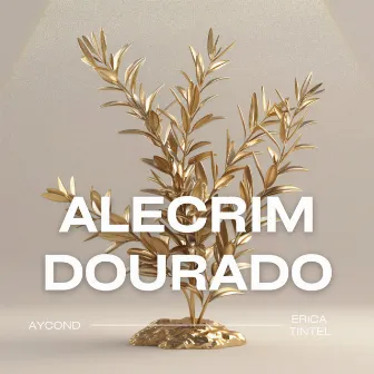 Alecrim Dourado by Aycond