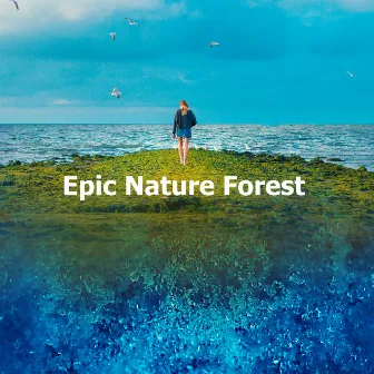 Epic Nature Forest by Epic Nature