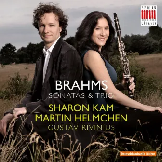 Brahms: Sonatas & Trios by Gustav Rivinius