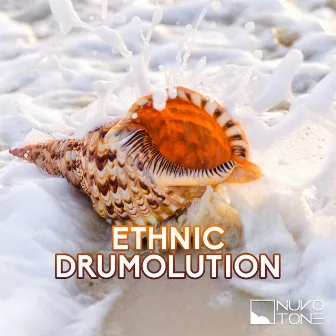 Ethnic Drumolution by Leo Lang