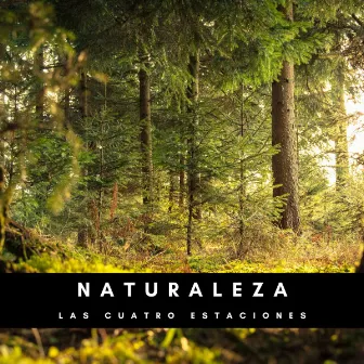 Naturaleza: Las Cuatro Estaciones by Música de Concentración