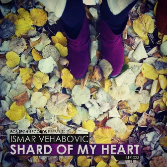 Shard of My Heart EP by Ismar Vehabovic