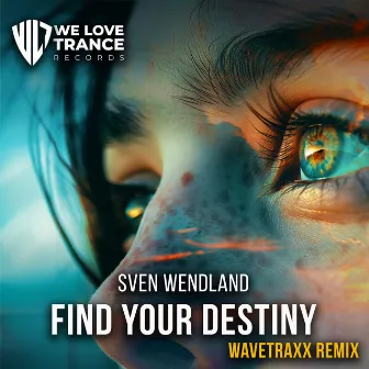 Find Your Destiny by Sven Wendland