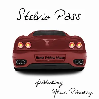 Stelvio Pass by Alzie Ramsey