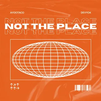 Not the Place by Unknown Artist