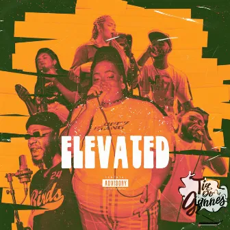 Elevated by Tia De Gannes