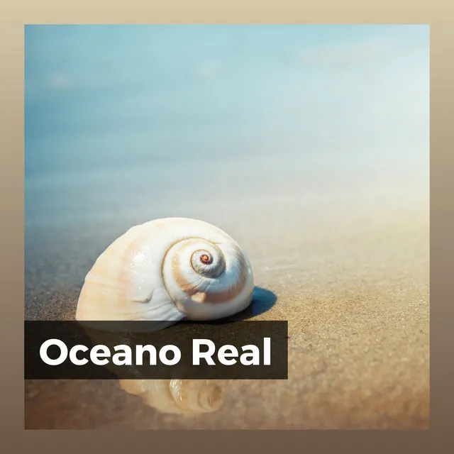 Oceano Real