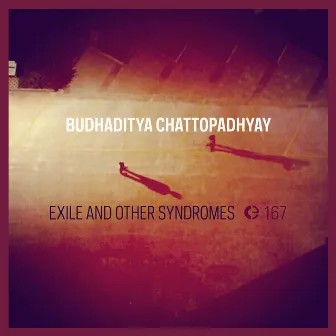 Exile and Other Syndromes by Budhaditya Chattopadhyay