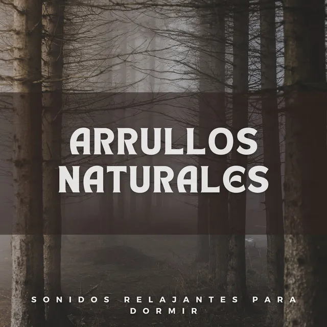 Arrullos Naturales: Sonidos Relajantes Para Dormir