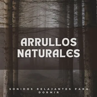 Arrullos Naturales: Sonidos Relajantes Para Dormir by Dormida y despierta