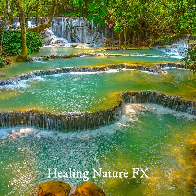 Healing Nature FX