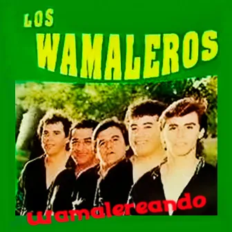 Wamalereando by Los Wamaleros