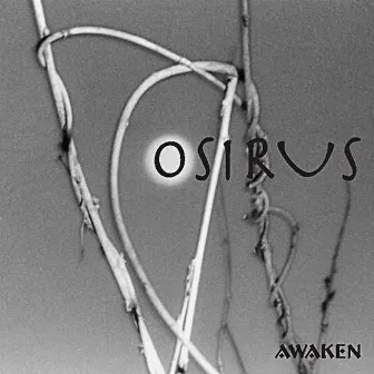 Awaken by Osirus