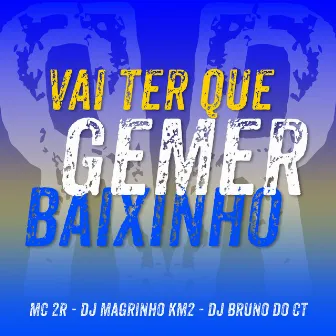 Vai Ter Que Gemer Baixinho by Mc 2R Dos Acessos