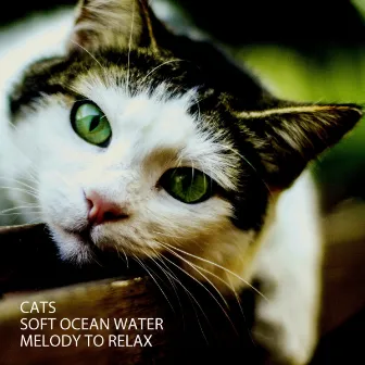 Cats: Soft Ocean Water Melody To Relax by Hang Drum Music