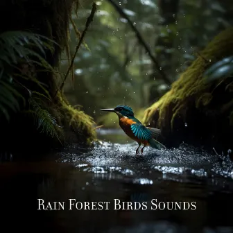 Rain Forest Birds Sounds by Nature Sounds!