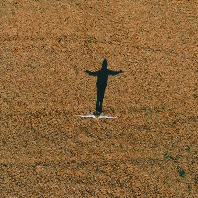 Cerrado Amado