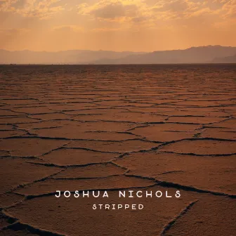 Joshua Nichols (Stripped) by Joshua Nichols