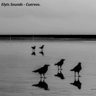 Cuervos. by Elyts Sounds