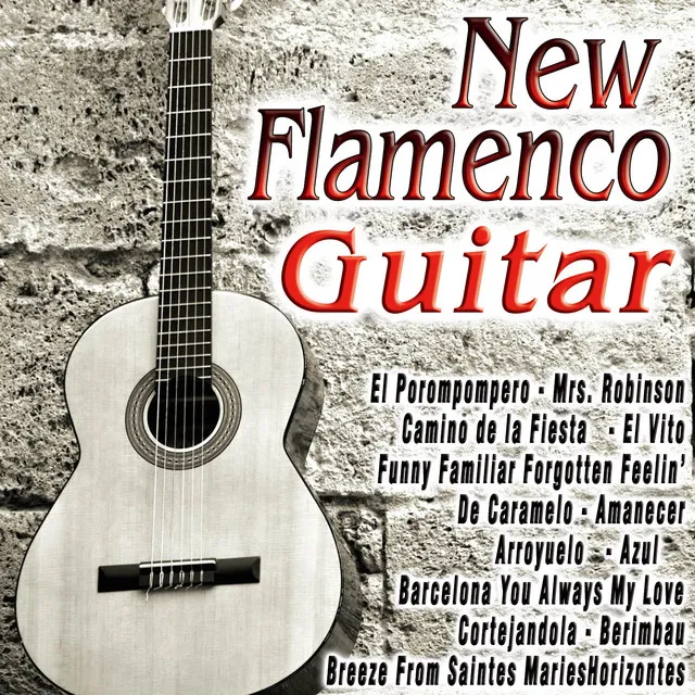 New Flamenco Guitar