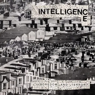 Boredom and Terror / Let's Toil (Remastered) by The Intelligence