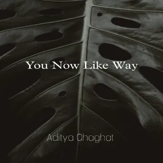 You now like way by Aditya Ghaghat