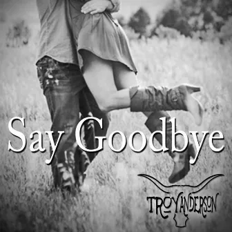 Say Goodbye by Troy Anderson