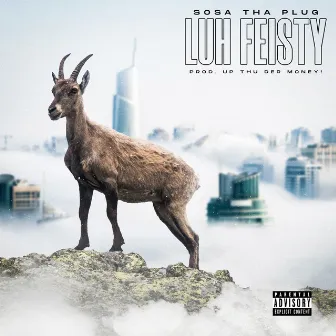 Luh Feisty by Sosa Tha Plug