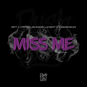 Miss Me by Spity