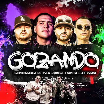 GOZANDO by Joe Parra