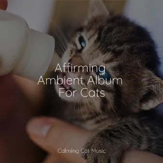 Affirming Ambient Album For Cats by Music for Relaxing Cats