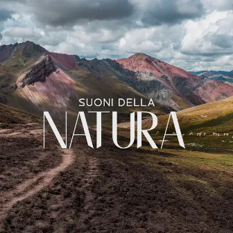 Suoni Della Natura: Musica New Age Rilassante Per Cura Di Corpo E Mente, Meditazione Profonda, Yoga, Tai-Chi, Pilates by Profonda Quiete