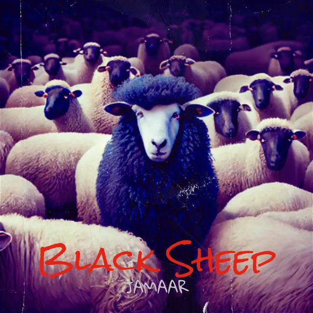 Black Sheep