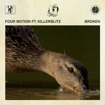 Broken by Four Motion