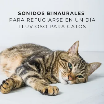 Sonidos Binaurales Para Refugiarse En Un Día Lluvioso Para Gatos by Estado de ánimo de lluvia