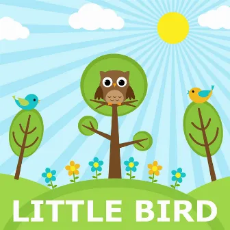 Little Bird by Country Songs For Kids