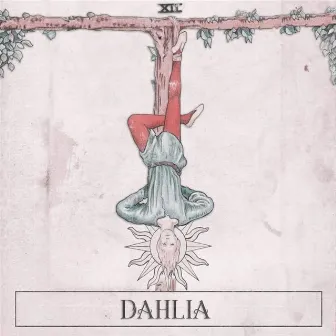 XII by Dahlia