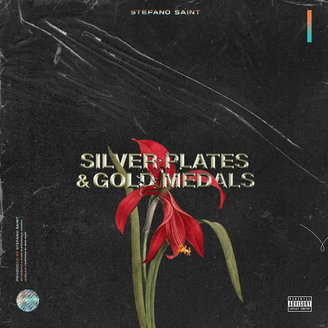 Silver Plates & Gold Medals