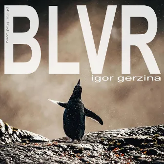 Blvr by Igor Gerzina