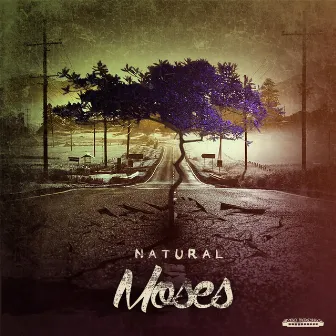 Natural Moses by Moses Concas