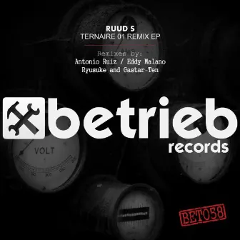 Ternaire 01 Remix EP by Ruud S