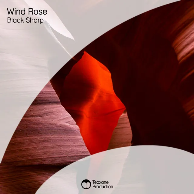 Wind Rose