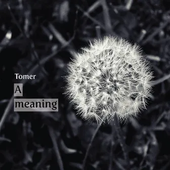 A Meaning by Tomer