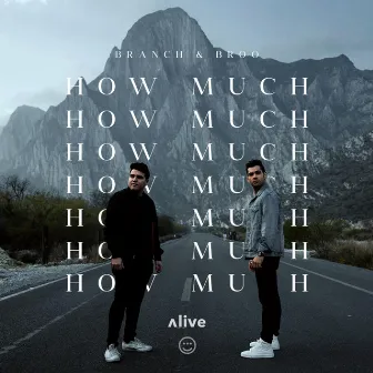 How Much by Branch & Broo